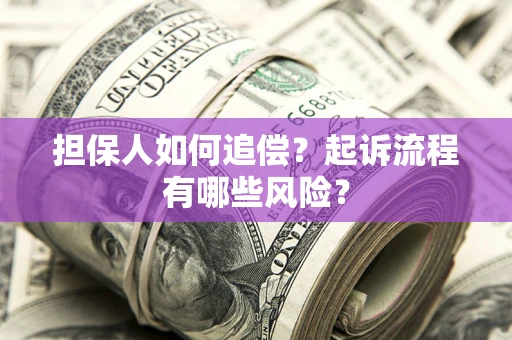 武汉担保人如何追偿？起诉流程有哪些风险？