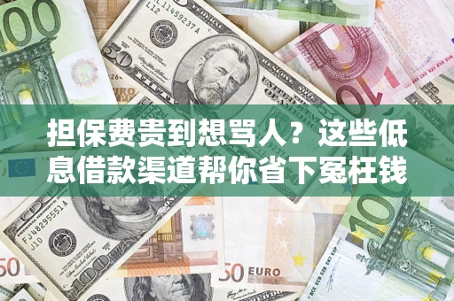 武汉担保费贵到想骂人？这些低息借款渠道帮你省下冤枉钱