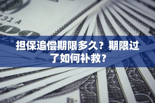 武汉担保追偿期限多久？期限过了如何补救？