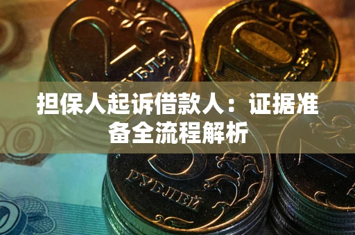武汉担保人起诉借款人：证据准备全流程解析
