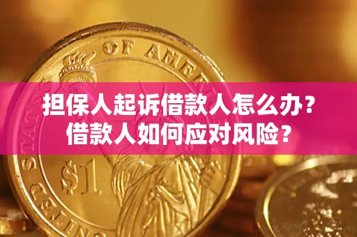 武汉担保人起诉借款人怎么办？借款人如何应对风险？
