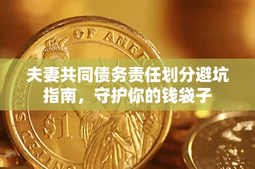 武汉夫妻共同债务责任划分避坑指南，守护你的钱袋子