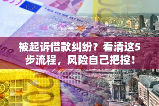 武汉被起诉借款纠纷？看清这5步流程，风险自己把控！